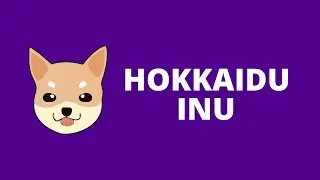 HOKKAIDU INU Project Review --- $HOKK Next 100X Coin ??