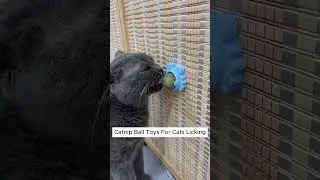 Your Cat Deserves These! The Cutest Catnip Toys Ever! #cat