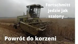#81 Pierwsze żniwa w tym roku.🌾🌾 Testowe cięcie żyta na GPS - pokosówka Fortschritt w akcji