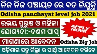 Odisha Panchayat level job 2021/odisha village level jobs/free job alert/odisha govt jobs