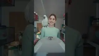 Bespoke AI Refrigerator Life Hacks | A parrot can do that