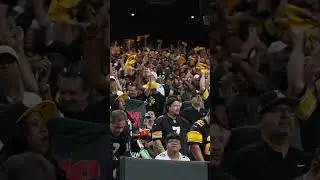 Steelers fans in Las Vegas celebrate Calvin Austin III's 72-yard TD #nfl #steelers #touchdown