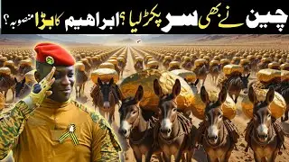 Ibrahim Traora | Shocking Plan | Donkey Farming | Khofia TV