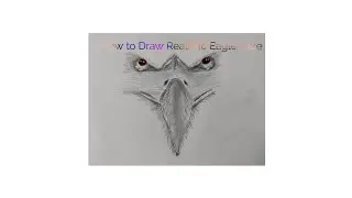 How to Draw Realistic Eagle Face with Step by Step.//Pencil Sketch