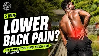 5-Minute Core Workout For Lower Back Pain Relief | No Equipment | Strengthen & Fix Posture Fast