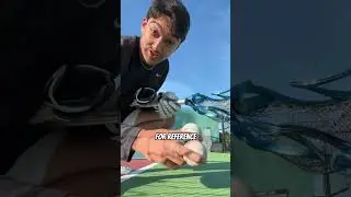 Have you seen these balls??