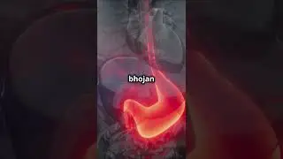 WONDERS OF THE HUMAN BODY STRUCTURE #HumanBody #AmazingAnatomy #bodyfacts #HumanAnatomy