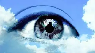 Swarms - Flikr Of Ur Eyes