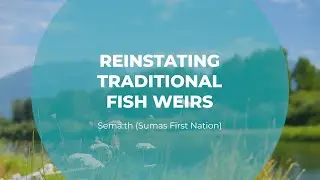 Reinstating Traditional Fish Weirs | Sem&aacute;:th (Sumas First Nation) | Tomorrow's Catch