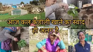 🙏#बिथ्याणी गांव का राजशेरा गांव #भाग (2 )पानी की कमी नहीं खेती बाड़ी बहुत अच्छी #sumanjuyalvlogs#❤️