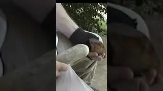 Flint Knapping -The platform is everything! - Thinning a thick rock with a moose billet.