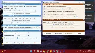 FREE HL7 TCP/IP Listener