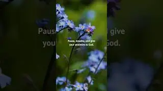 This is your sign to pause, breathe, and give your anxieties to God. He&rsquo;s got you! #Shorts