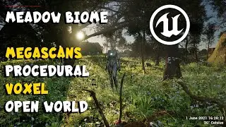MegaScans Procedural Voxel Open World Meadow Biome Update