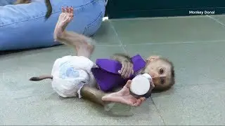 Tiny Donal Sleep Get Milk When play wih Dodo