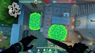 These Viper mollies for executing pearl A site are SO OP 🤯