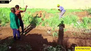 Dci fred arrested the dangerous criminal who stole our phones😪We managed to recover phones here