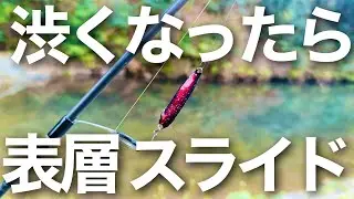 渋くなったら表層スライド！ド日中の渋いトラウトを釣る！【エリアトラウト】【管理釣り場】【すそのフィッシングパーク】　#PR
