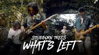 Stubborn Trees - What's Left (Clip)