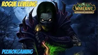 FASTEST Way to Level Your Rogue in Brill (Private Server)