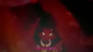 Lion King Womanizer