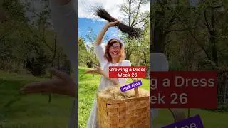 Growing a Dress Week 26