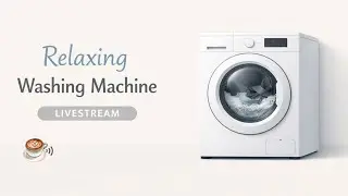 Live washing machine