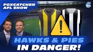 Both PIES & HAWKS in DANGER 😲