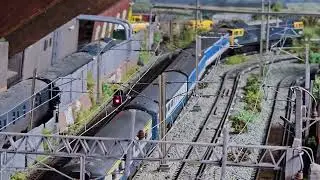 Train tech 3 aspect  auto signals 