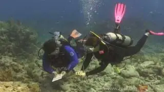 Fishwatching