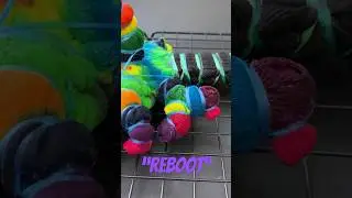 Experimental Dye Art Process (Tie Dye) #shorts
