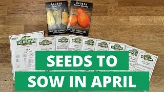 What seeds to sow in APRIL | Seed Sowing | What to Grow in APRIL | DT Brown | Baker Creek Seeds