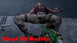 Salty C.O.D Veteran - Heat Of Battle