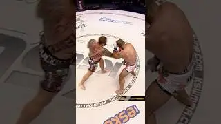 KSW TOP 20 Knockouts 👊 #10 Michał Materla vs. Rousimar Palhares #ksw #mma #knockoutcity #top10