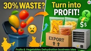 Food Dehydration Business Facts | High Profit Small Business Idea | Start From Home
