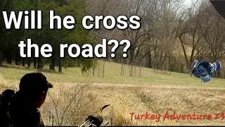 TPW: Will he cross the road? South Dakota Turkey hunting with a Recurve Bow.