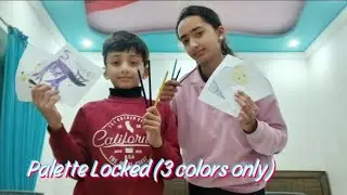 Palette Locked (3 colors only)