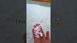 Hidden Gems UAE | Al Wathba Salt Lake | Salt Lake Abu Dhabi | Must Visit Abu Dhabi Places | UAE