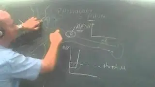 Neurophysiology 1 - Producing an Action Potential at the axon hillock