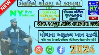 Karbala days 4 NY Islamic channel  is live playback program 10/7/2024 nandarkhi