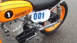 WSK 175 m21w2: Project Skrambler