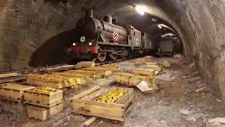 Le train nazi à l’or caché retrouvé : la dernière voiture a choqué le monde