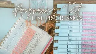 PREGNANCY TEST LINE PROGRESSION | 11-27DPO