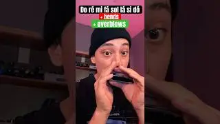 Muita gente ainda n&atilde;o sabe disso 🤌🏻 #gaitacomigorkasuya #music #gaita #harmonica #evolucao