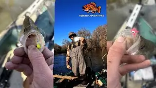 Back in the Swamp | Chasing Crappie & Good Times
