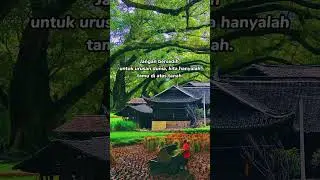 #public #stories #shortvideo