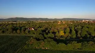 Neckarhausen and Ladenburg far away from drone.