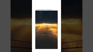 AI generated view #shorts