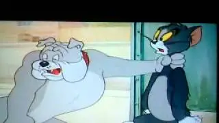 Tom and Jerry 