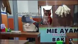 langsung di tandain mukanya🤭 #meme #memesvideo #kucing #viral #memecing